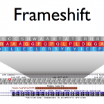 Frameshift